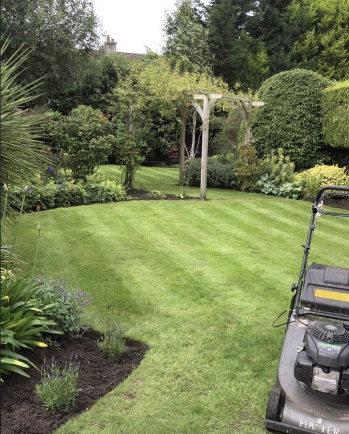 Striped lawn and pergola after a maintenance visit in Merseyside